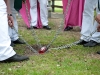 dsc_9706.jpg